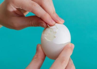 خوردن چند عدد تخم مرغ در طول روز بی خطر است؟