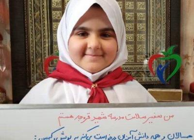 کمپین هر دانش آموز یک سفیر سلامت کلید خورد