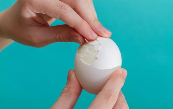 خوردن چند عدد تخم مرغ در طول روز بی خطر است؟