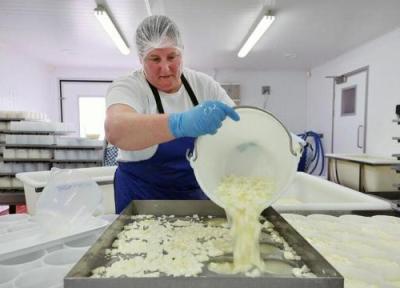 پنیر های فرانسوی با طعم بریتانیایی؛ انگلیسی ها وارد پنیرسازی شدند